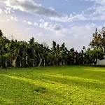 Sani Kasimis