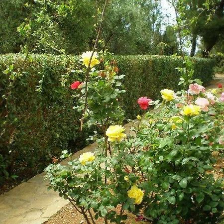 아파트 Sani Kasimis *