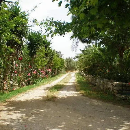 Sani Kasimis Apartment