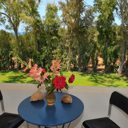 Sani Kasimis 키파리씨아