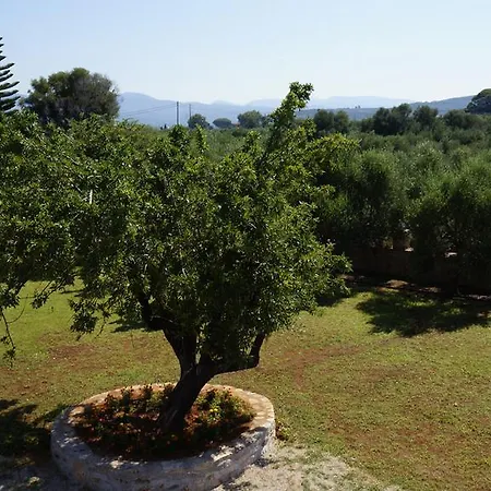 아파트 Sani Kasimis *