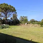 Sani Kasimis * קיפריסיה
