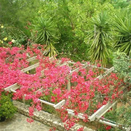 Sani Kasimis * Kyparissia