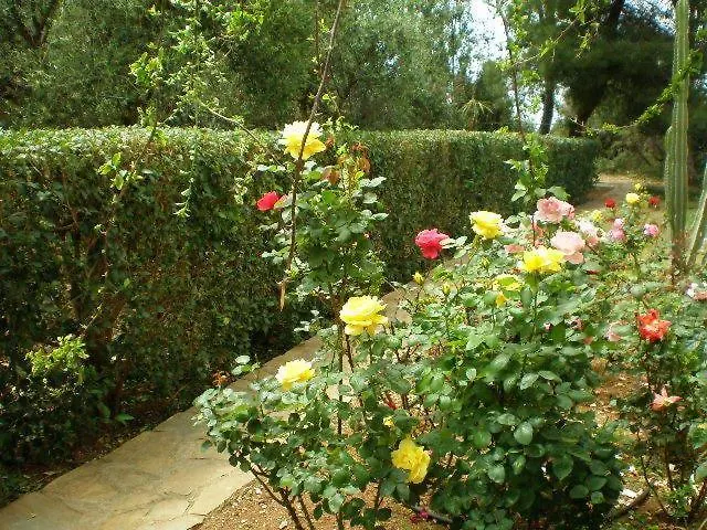 Apartment Sani Kasimis *