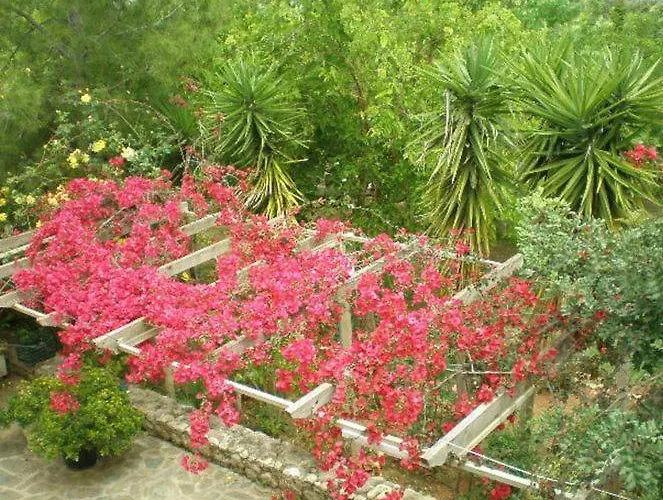 Sani Kasimis * Kyparissia