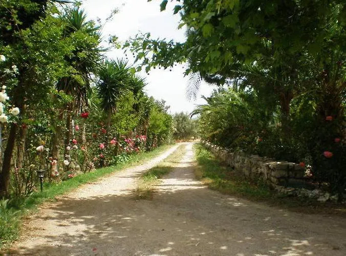 Sani Kasimis Apartment